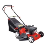 Dunsch Tagliaerba DU12132-46A3 4 in 1 a Trazione Con Motore a Scoppio a Benzina OHV da 131 cc Mulching + Sacco da 50 Litri