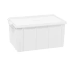 Giganplast Cassetta 45X35 H 25 cm Con Coperchio     1900M3/Bi