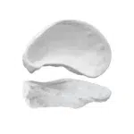 Essentia Magnesium Oyster Coppetta 15X9,6 H5 Cm Porcellana